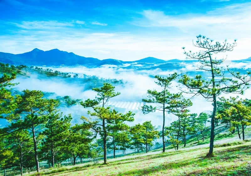 VB069: THE BUSTLINH SOUTH (10 Days/ 9 Nights)